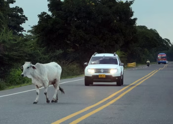 Ovidio Enrique Cabrera Acuña