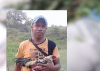 Hernán Barandica Flores