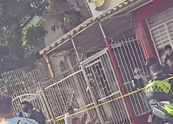 Alex David Villadiego Zequin