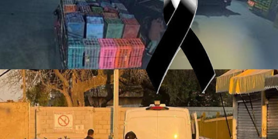 Un pequeño de aproximadamente dos años perdió la vida