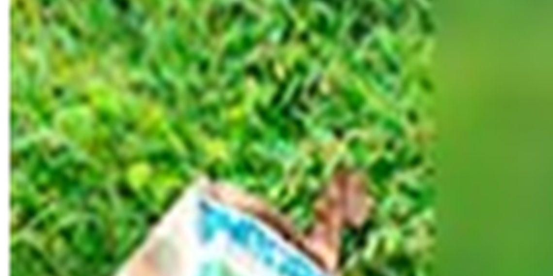 Cuatros personas sin vida